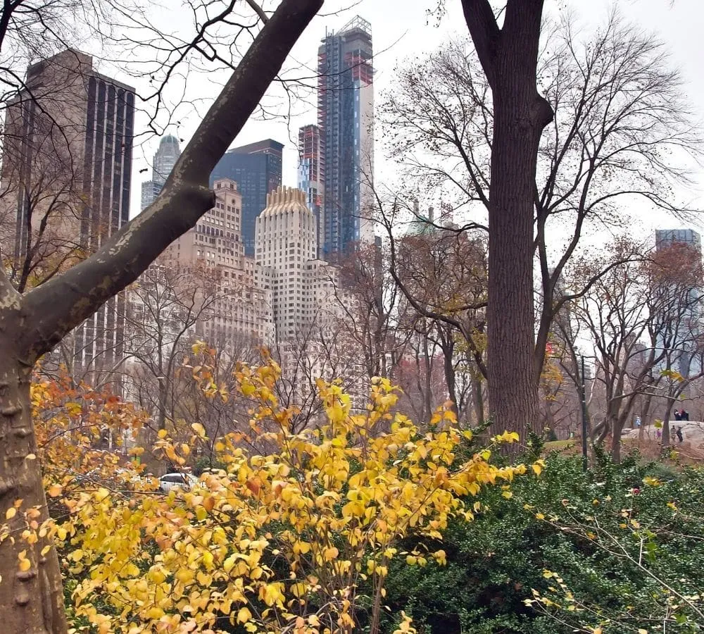 What Is EMDR Therapy?