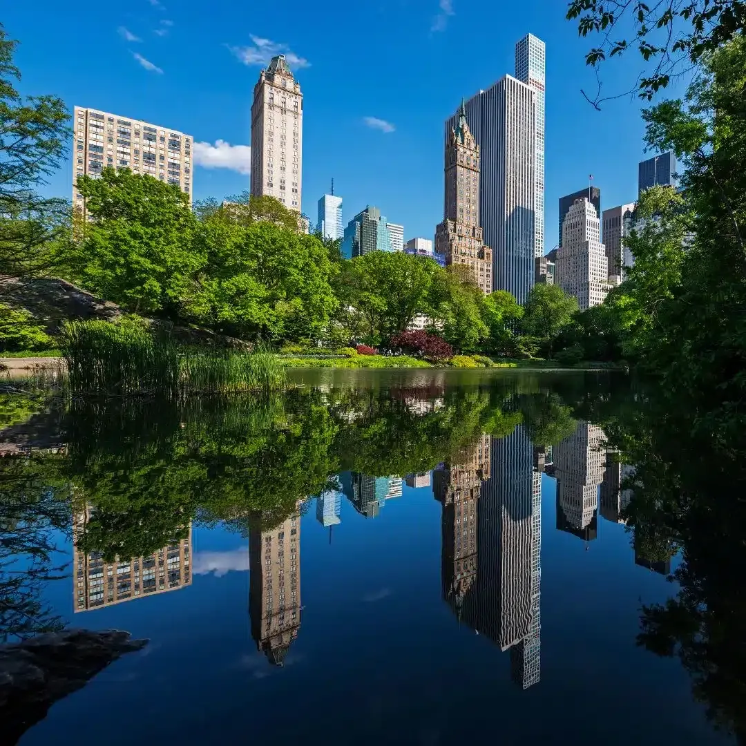 In-Person Somatic Therapy in NYC & Virtual Across New York