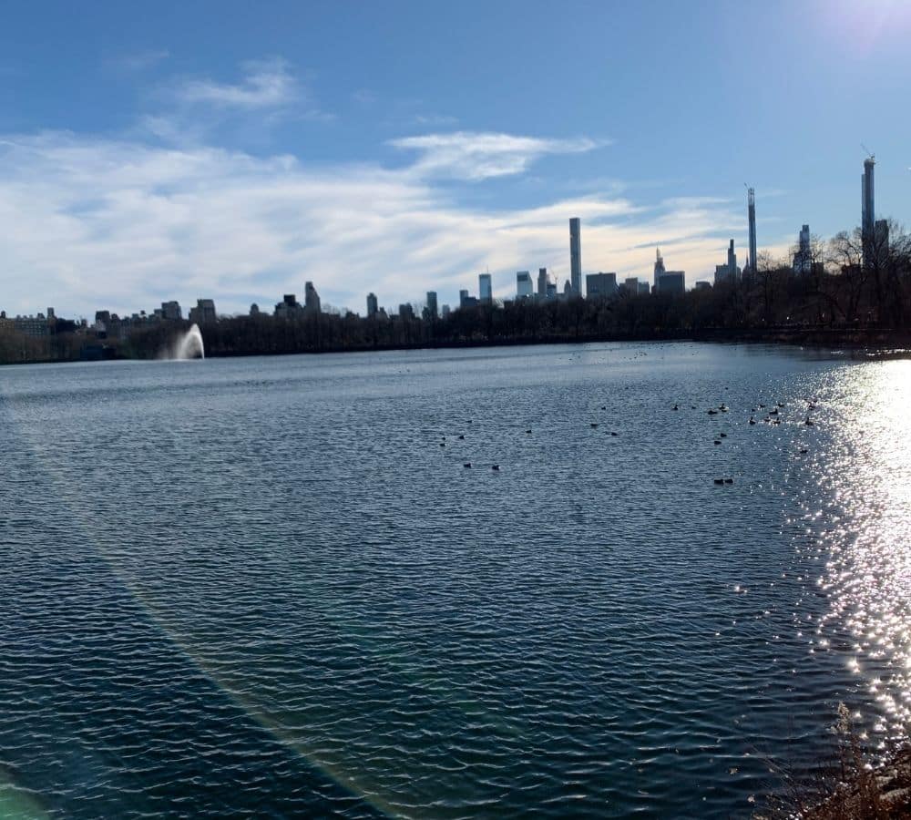 In-Person Therapy in NYC & Virtual Across New York