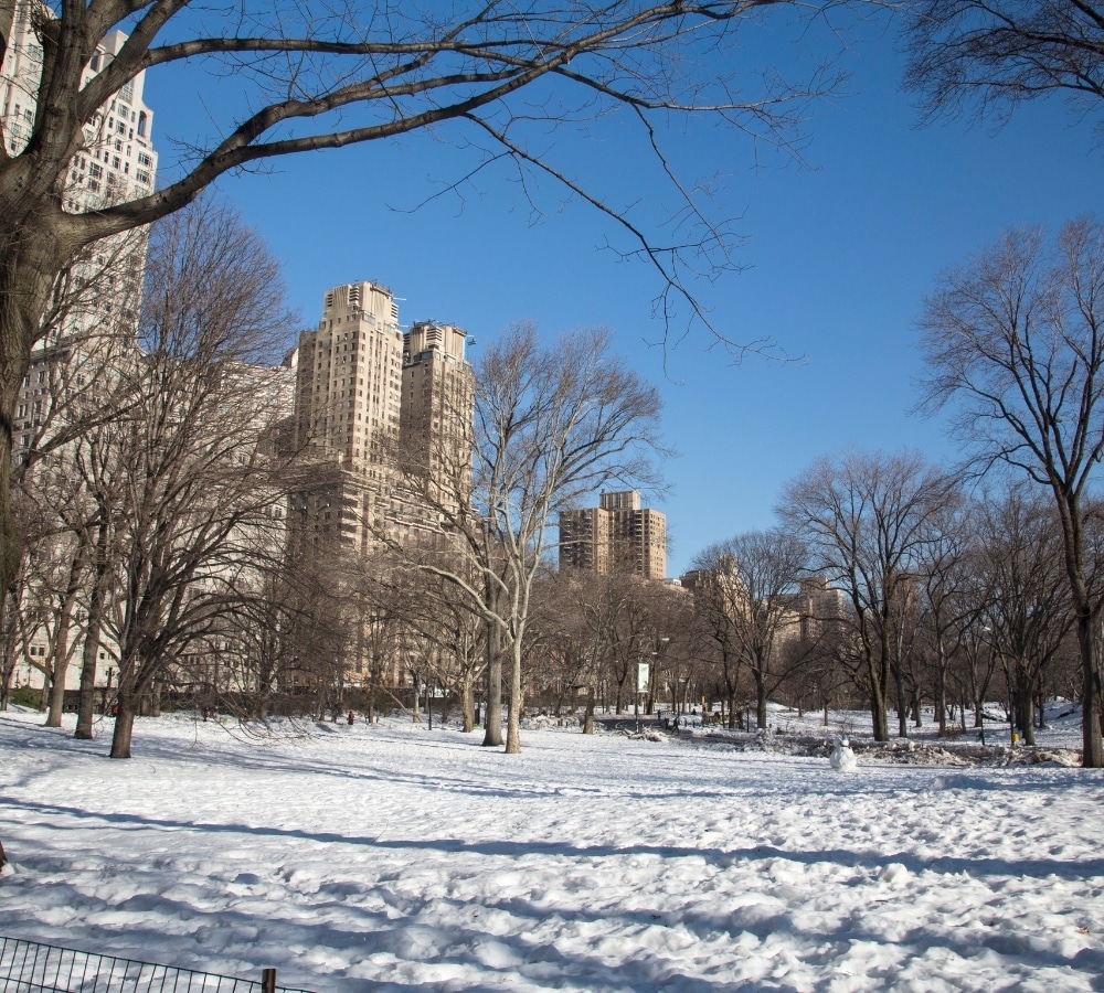 In-Person & Virtual Therapy in NYC