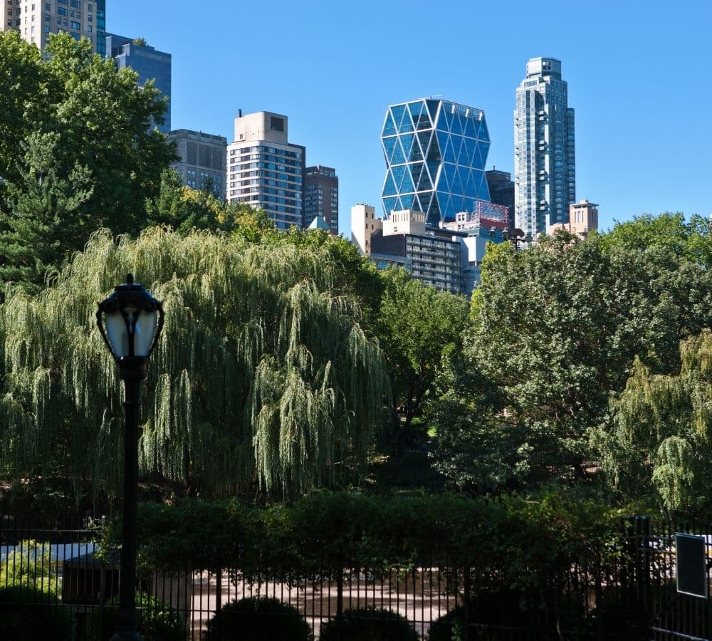 Laura’s Approach to Autism Therapy