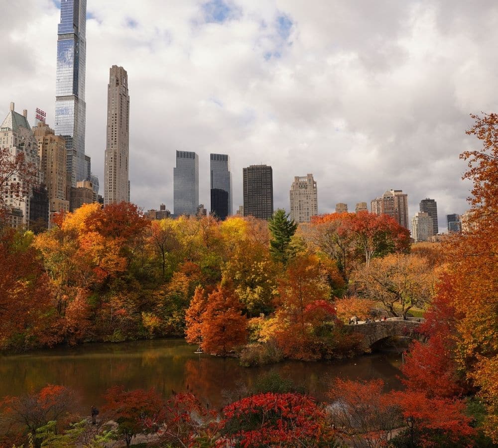 Therapy office on the Upper East Side
