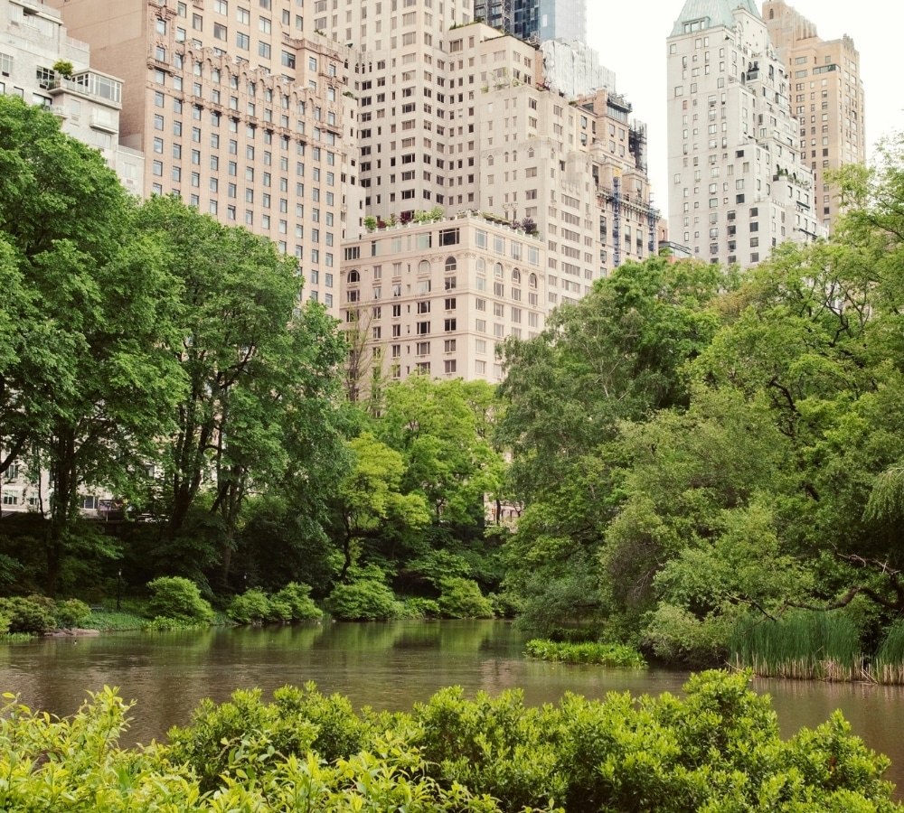 Who This Work Is For