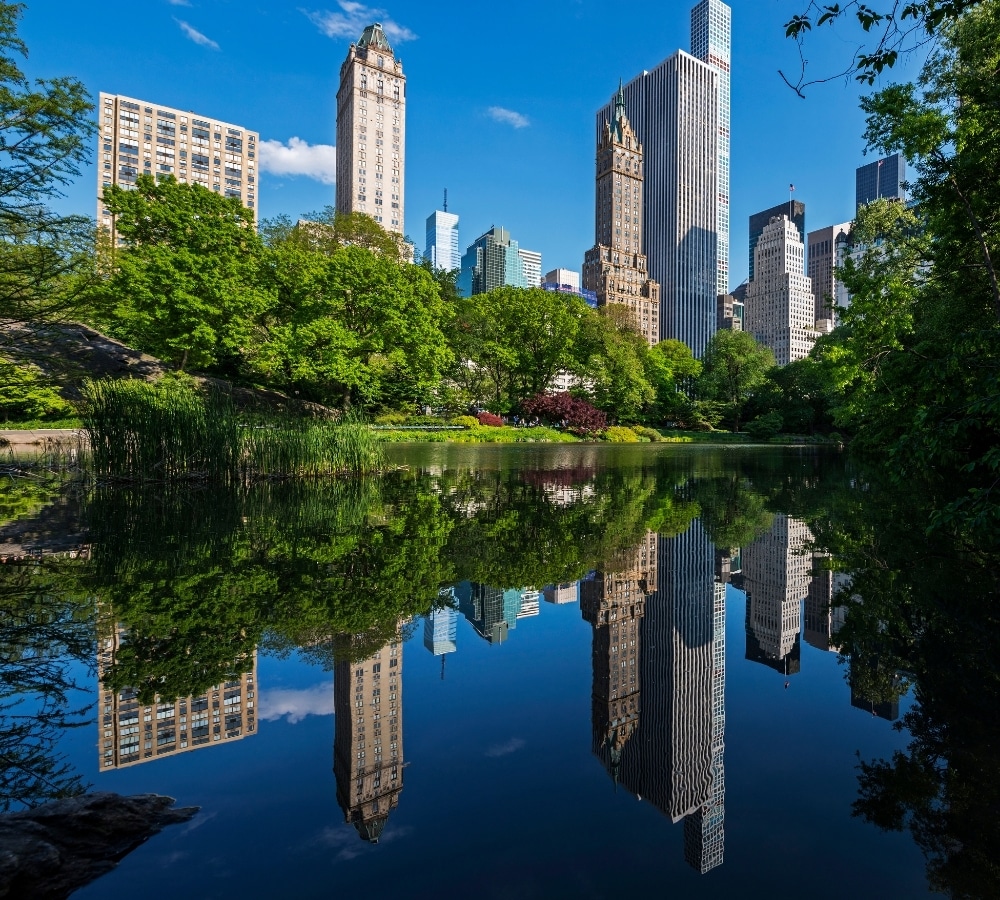 How Therapy Can Help Heal Trauma & Attachment Wounds