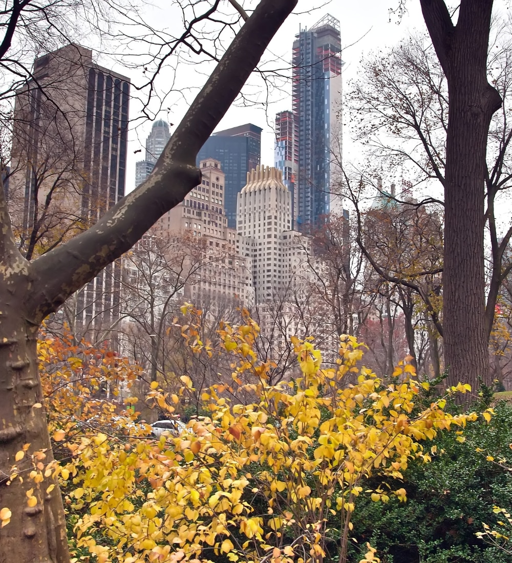 What to Expect in Trauma Therapy