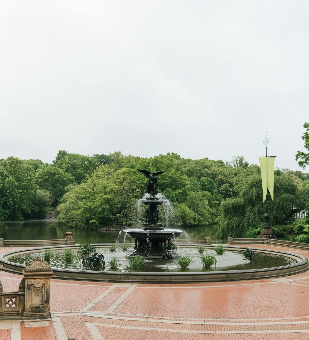 Therapy for Immigrants