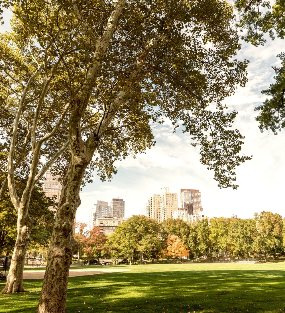 What to Expect in DID Therapy